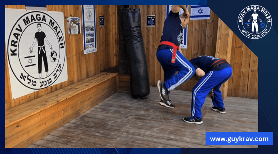 Krav Maga Maleh Punches for Self Defense