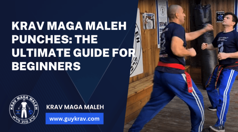 Krav Maga Maleh Punches The Ultimate Guide for Beginners